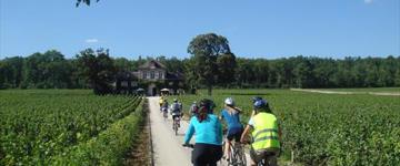 Eco tour: 1 Day Bike And Wine Tours In Burgundy (France)