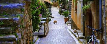 French Riviera & Medieval Villages Full Day Private Tour (France)