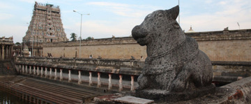 From Pondicherry: Private Day Tour To Chidambaram (India)