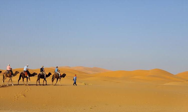 Casablanca Desert Tour (Morocco)