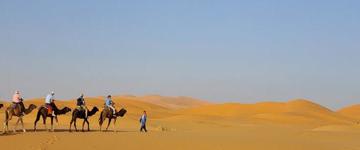 Casablanca Desert Tour (Morocco)