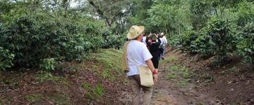 Coffee In Coatepec Tour`s (Mexico)