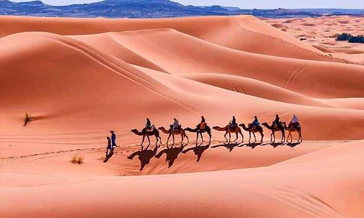 Camel Ride On Sahara Desert Tour (Morocco)