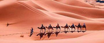 Camel Ride On Sahara Desert Tour (Morocco)