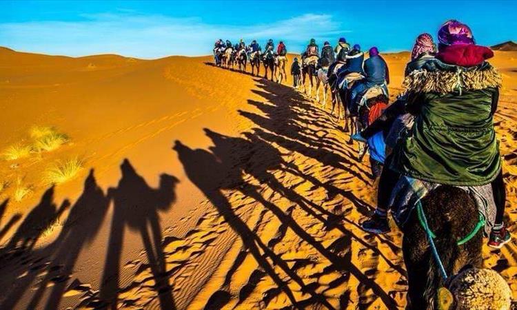 Sahara Tours From Fes (Morocco)