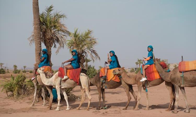 Marrakech Palmeraie Camel Ride (Morocco)