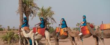 Marrakech Palmeraie Camel Ride (Morocco)