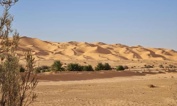 Mzab Valley &  Oases Tour (Algeria)