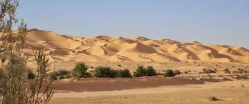 Mzab Valley &  Oases Tour (Algeria)