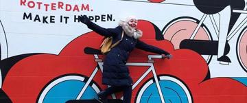 Your Own Holland. Rotterdam: A Group Sightseeing Tour (Netherlands)