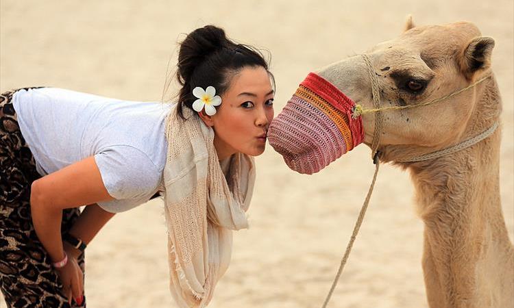 3 Days Private Package To Cairo & Giza & Alexandria (Egypt)