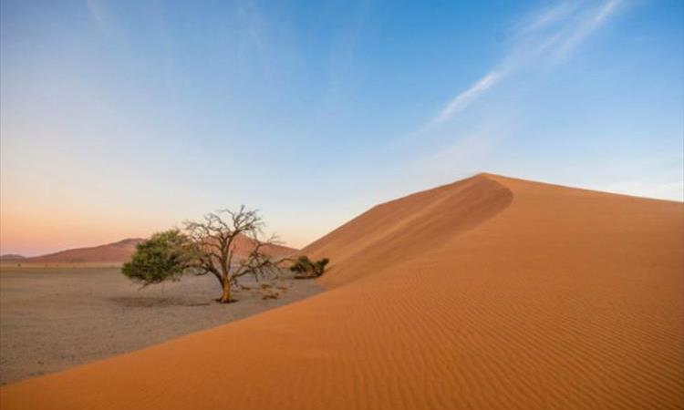 10 Day Highlight Namibia Safari- Self Drive (Namibia)