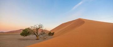 10 Day Highlight Namibia Safari- Self Drive (Namibia)