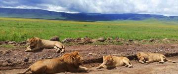 Eco tour: 5 Days Exquisite Tanzania Adventure (Tanzania)