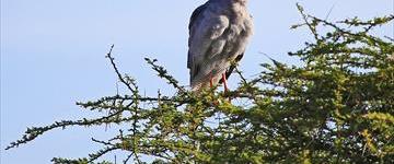 Eco tour: Unforgettable Kilimanjaro Hike (Tanzania)