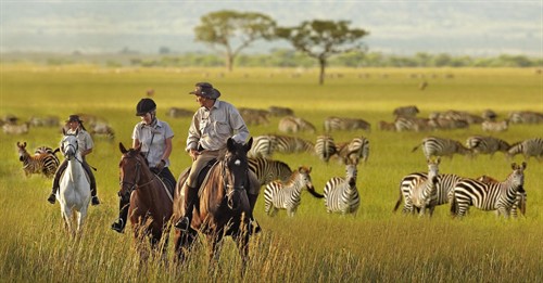 Abiata-Shalla National Park