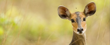 Holidays & Tour Packages in Tanzania