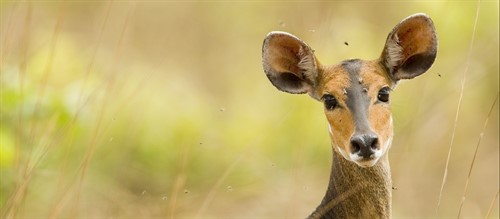 Holidays & Tour Packages in Tanzania