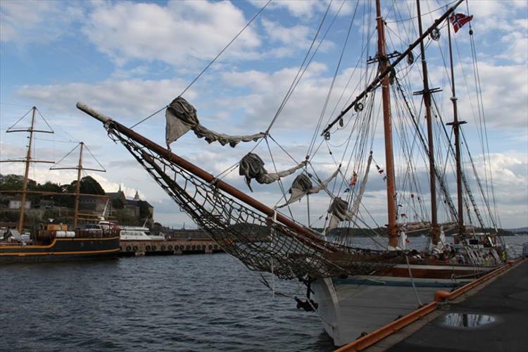 Oslo fjord with a Norwegian buffet (Norway)