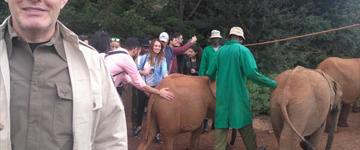 Half Day Tour: Elephant Orphanage, Giraffe Center And Karen Blixen Museum (Kenya)