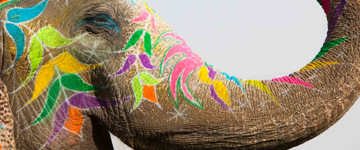 Sri Lanka Tours & Tour Packages