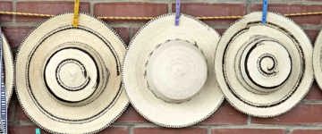 Panama Tours & Day Trips