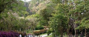 Anton Valley Day Tour (Panama)
