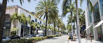 DeLuxe Los Angeles Private Tour (United States)