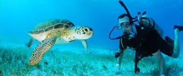 Discover Scuba Diving (Mexico)