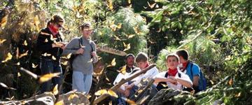 Monarch Butterfly Adventure (Mexico)