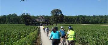 Eco tour: 1 Day Bike And Wine Tours In Burgundy (France)