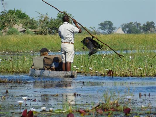 10 Days Okavango Delta, Moremi Game Reserve and Khwai Safari (Botswana)