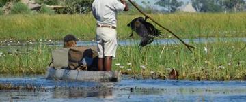 10 Days Okavango Delta, Moremi Game Reserve and Khwai Safari (Botswana)