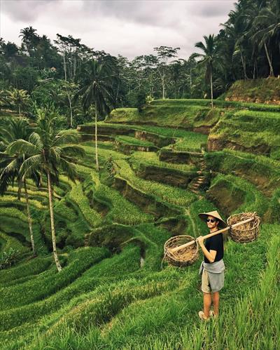 One Day Wonderful Bali Tour (Indonesia)