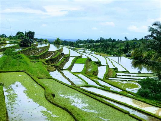 Waterfall and Central Mountain Tour (Indonesia)