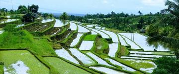 Waterfall and Central Mountain Tour (Indonesia)