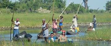 1 Day Mokoro (Canoe) Excursion in Okavango Delta (Botswana)