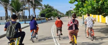 Eco tour: Pondicherry Private Day Tour With Car, Guide And Cycle Ride (India)