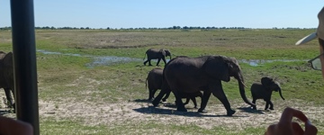 Eco tour: Chobe Full Day Trip (Zambia)