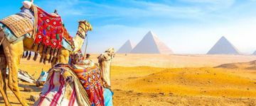 8 Days Egypt Tour: Cairo & Nile Cruise Package (Egypt)