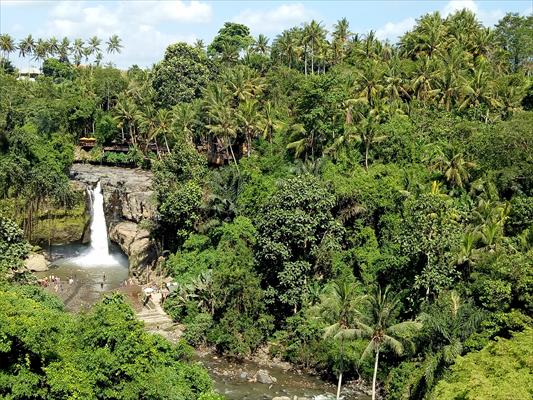 Best Of Bali in 1 Day: Scenic Ubud And Volcano Tour (Indonesia)