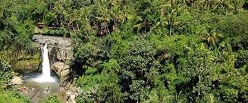 Best Of Bali in 1 Day: Scenic Ubud And Volcano Tour (Indonesia)