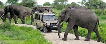 Northern Circuit Safari To Tarangire, Serengeti And Ngorongoro Crater (Tanzania)