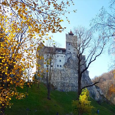 From Bucharest: Transylvania And Dracula's Castle Day Trip (Romania)