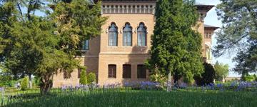 Half Day Bucharest Surroundings Tour (Romania)