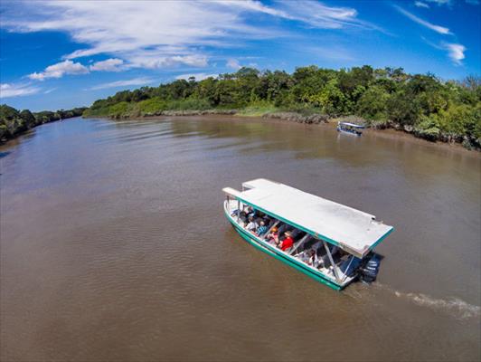 Jungle Cruise At Palo Verde National Park (Costa Rica)