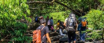 Inca Jungle Trek To Machupicchu (Peru)