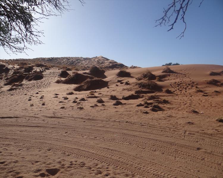 3 Day Sossusvlei Camping – Swakopmund To Windhoek (Namibia)