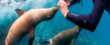 Ecuador & Galapagos Island 14 Days (Ecuador)