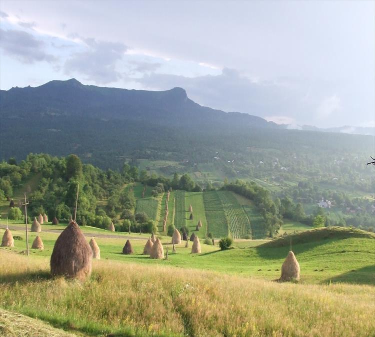Discover Eco Romania (Romania)